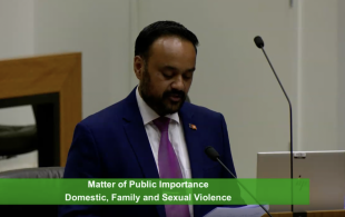 Domestic Violence cover photo